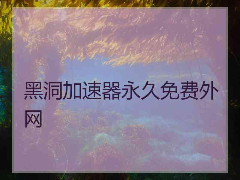 黑洞加速器永久免费外网