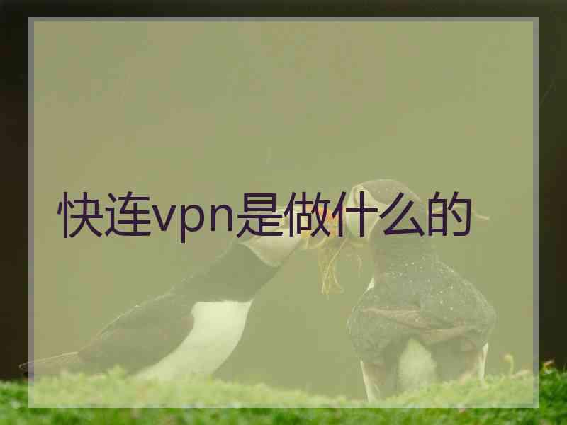 快连vpn是做什么的