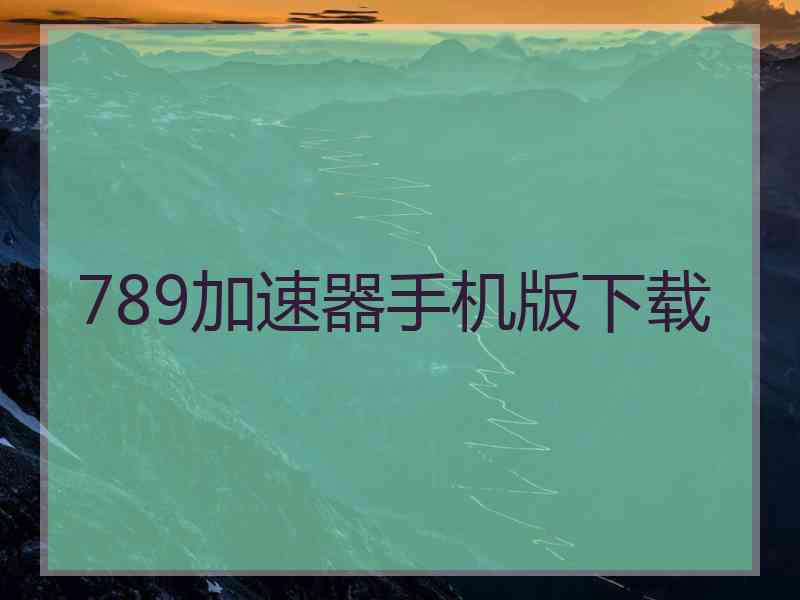 789加速器手机版下载