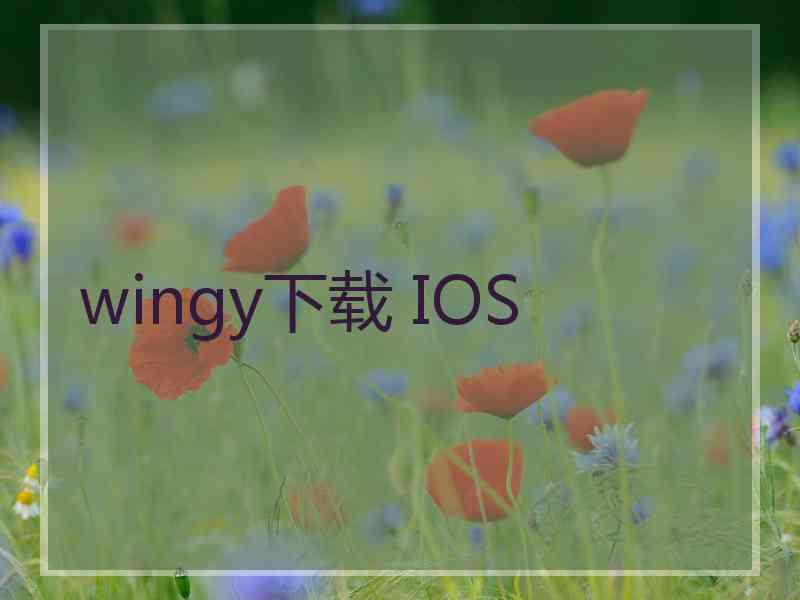 wingy下载 IOS