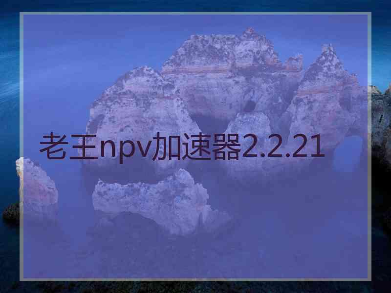 老王npv加速器2.2.21