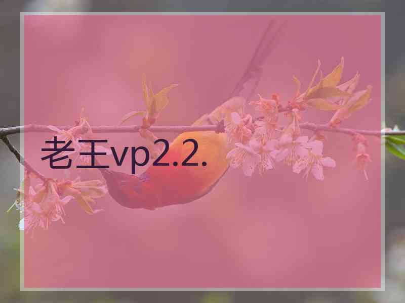 老王vp2.2.