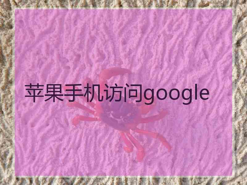 苹果手机访问google