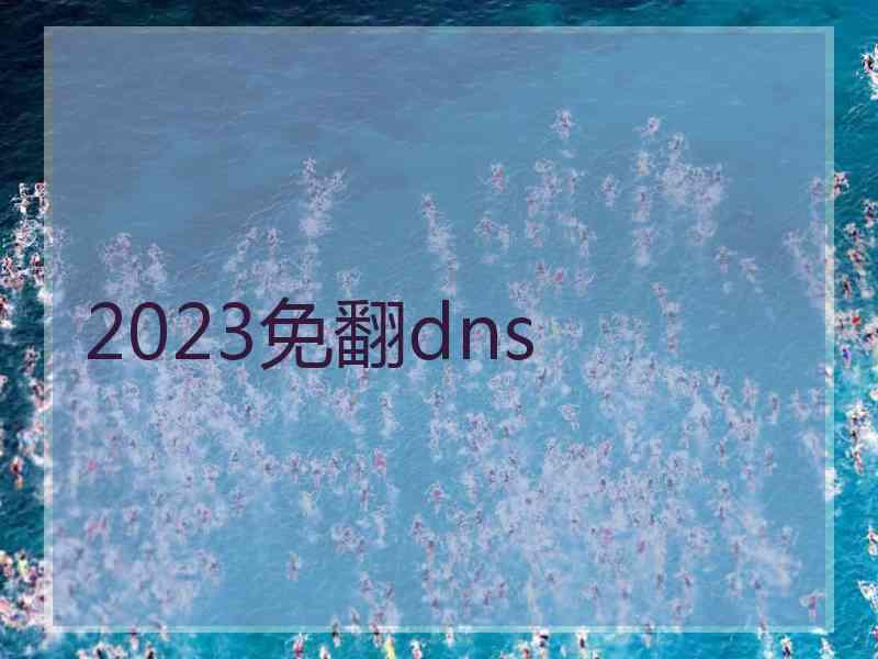 2023免翻dns