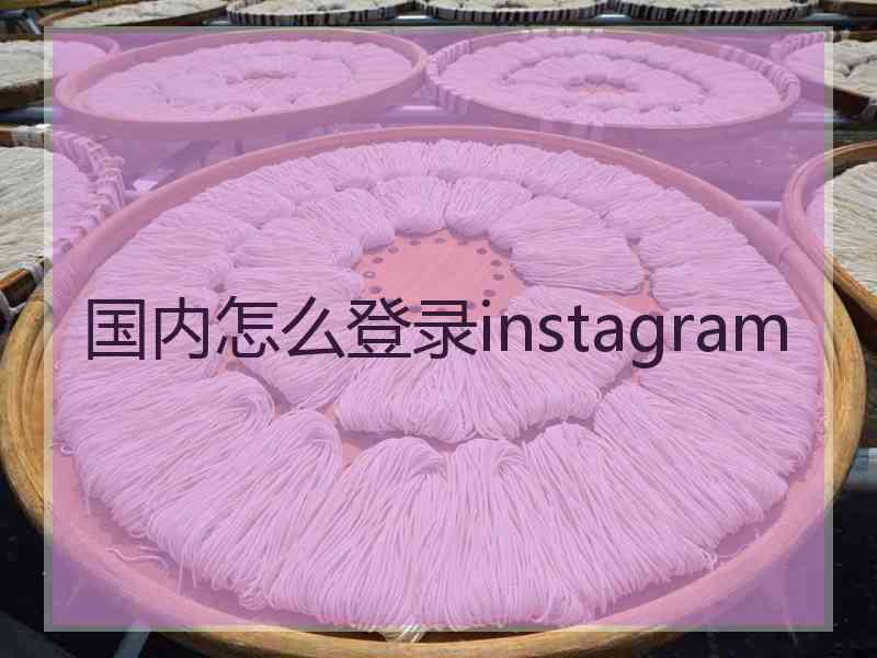 国内怎么登录instagram