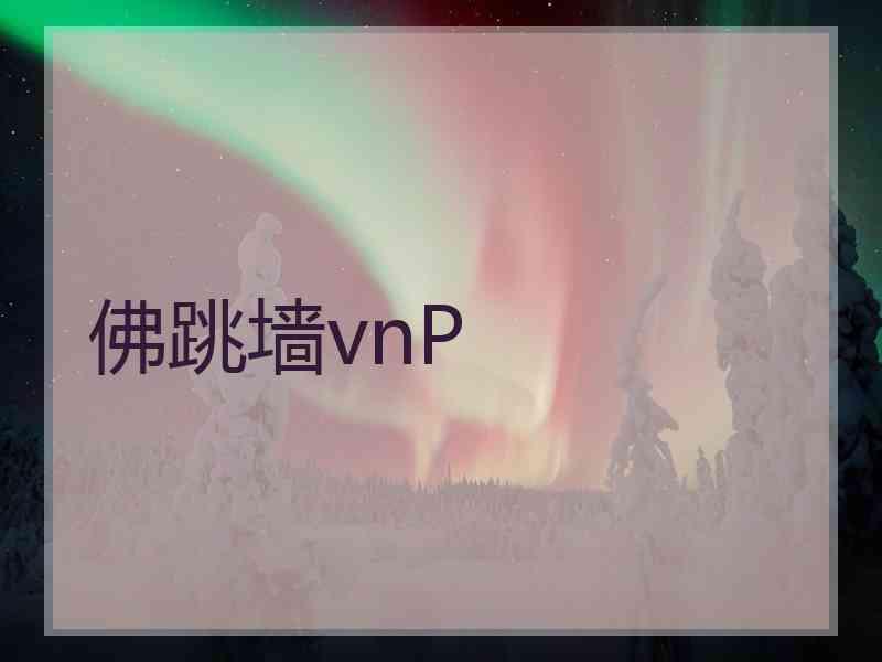 佛跳墙vnP