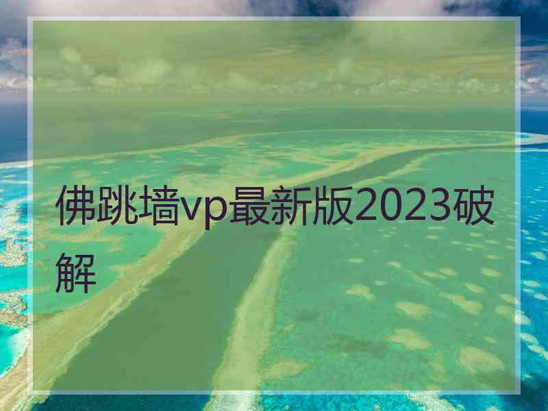 佛跳墙vp最新版2023破解