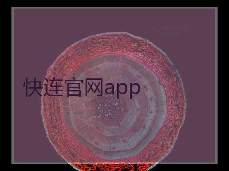 快连官网app