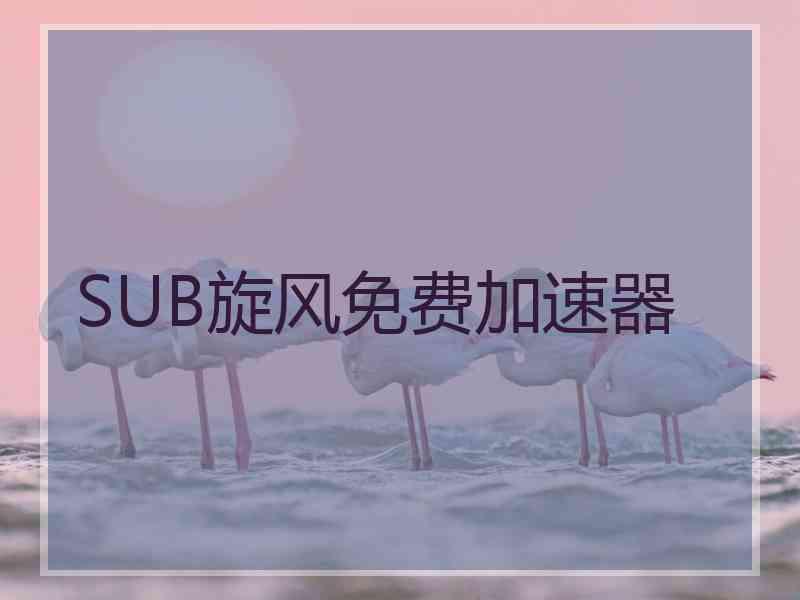 SUB旋风免费加速器