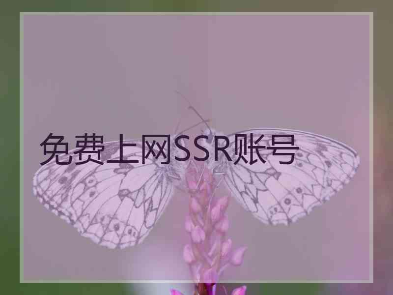 免费上网SSR账号