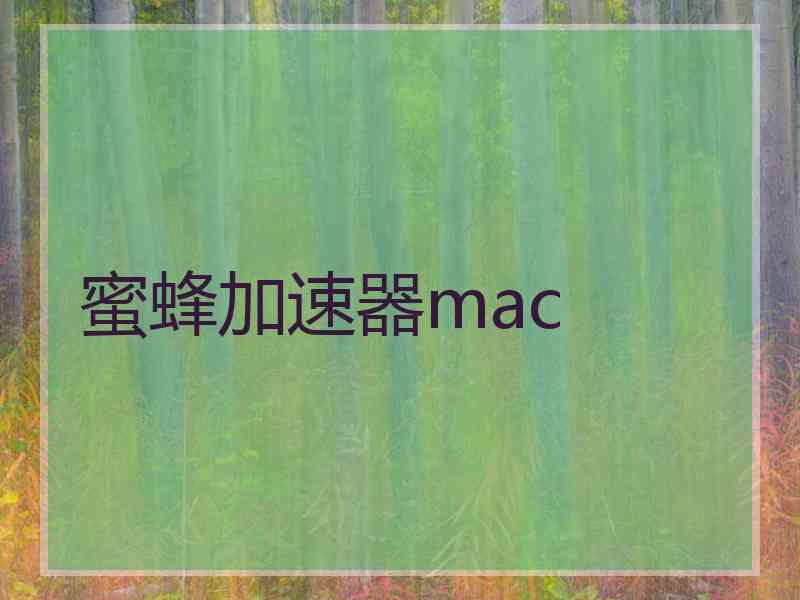 蜜蜂加速器mac