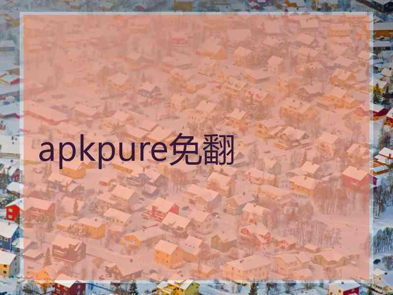 apkpure免翻