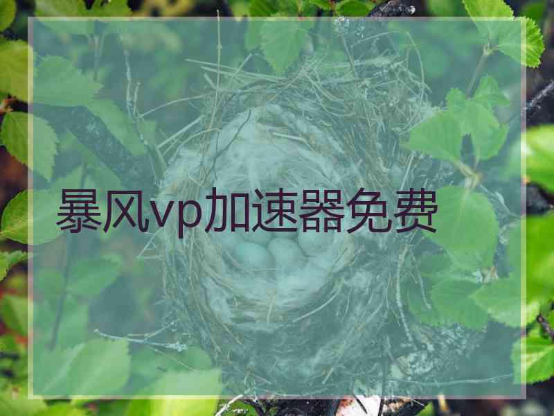 暴风vp加速器免费