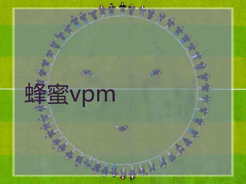 蜂蜜vpm