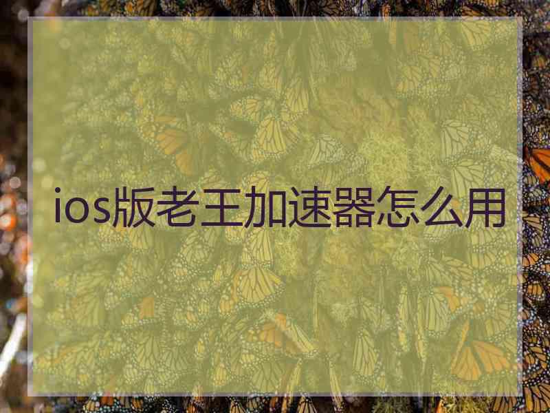 ios版老王加速器怎么用