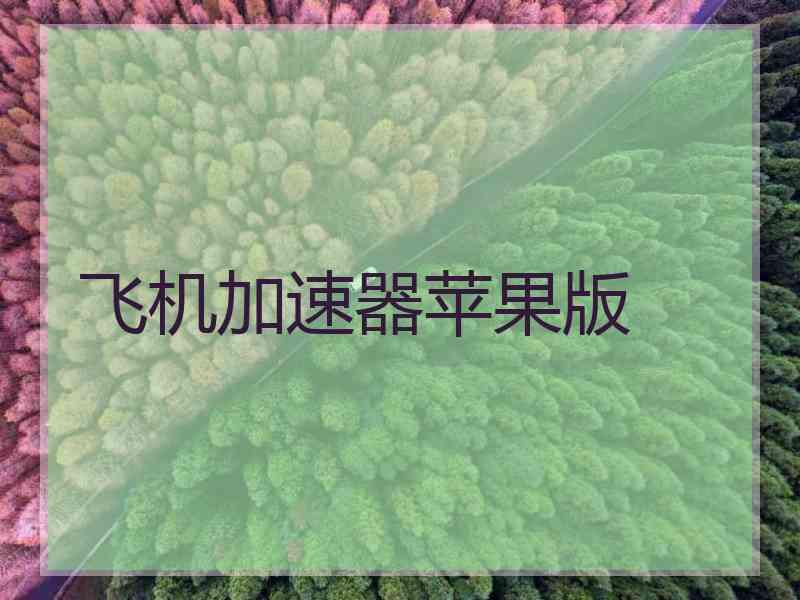 飞机加速器苹果版