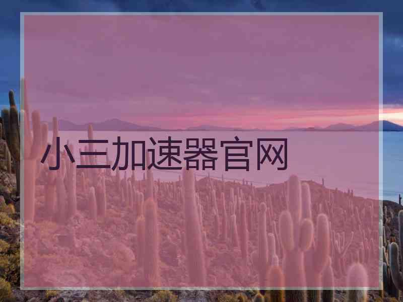 小三加速器官网