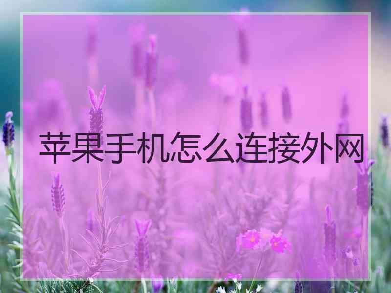 苹果手机怎么连接外网