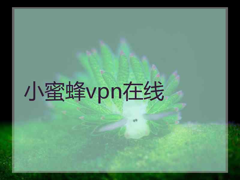 小蜜蜂vpn在线