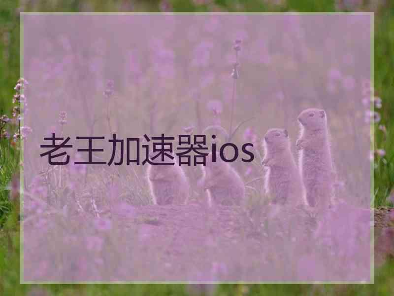 老王加速器ios