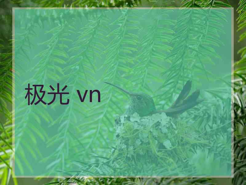 极光 vn