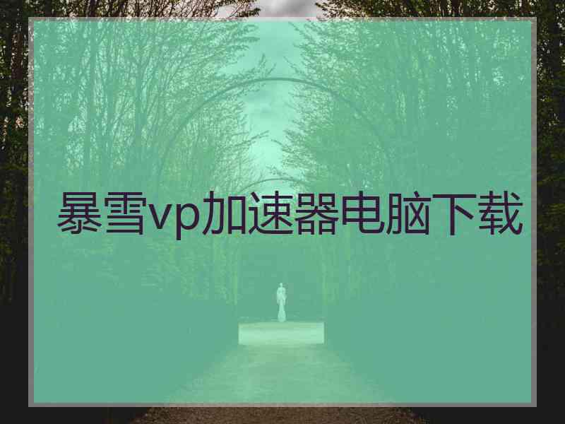 暴雪vp加速器电脑下载