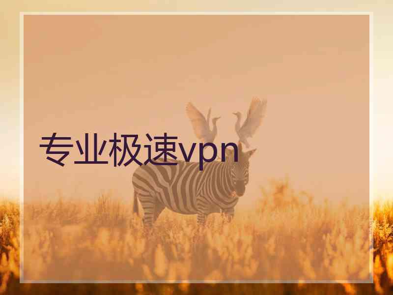 专业极速vpn