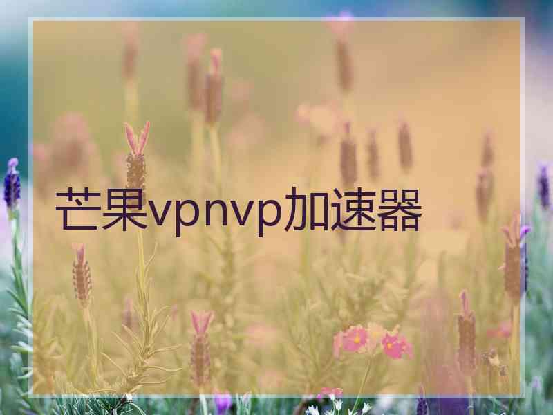 芒果vpnvp加速器