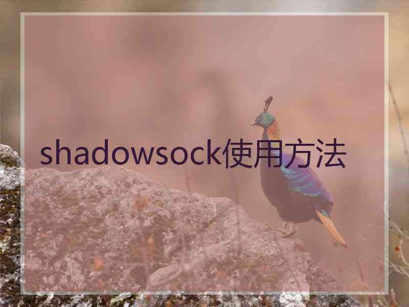 shadowsock使用方法