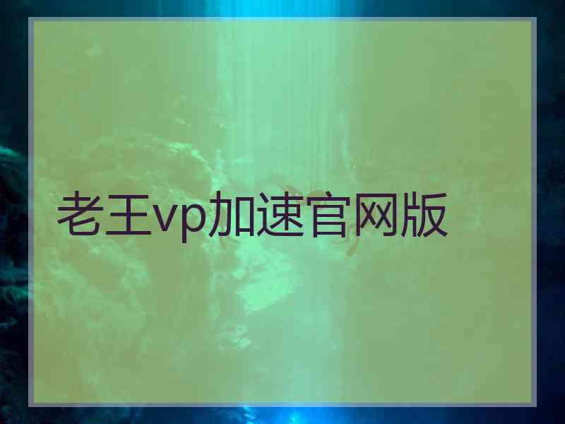 老王vp加速官网版