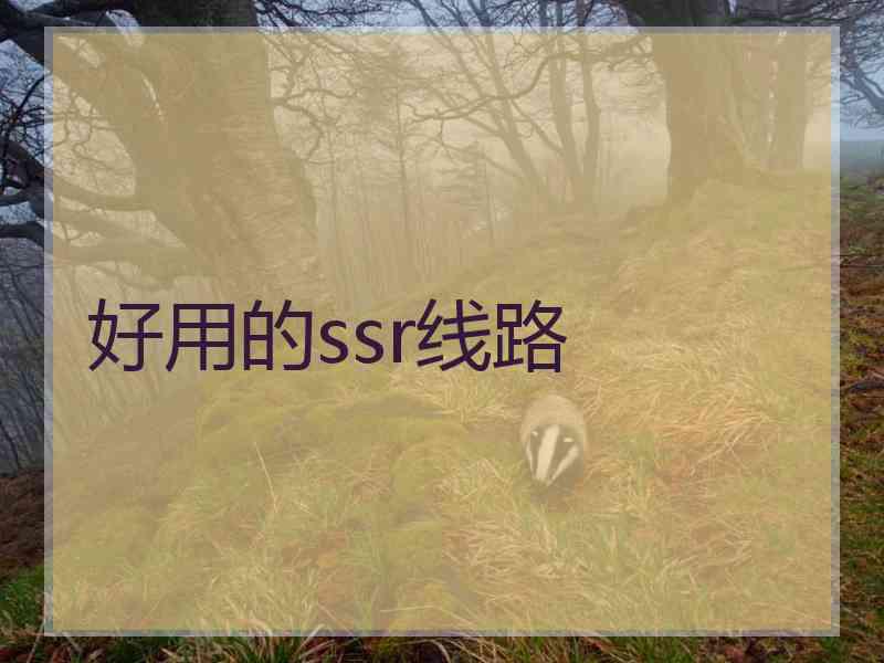 好用的ssr线路