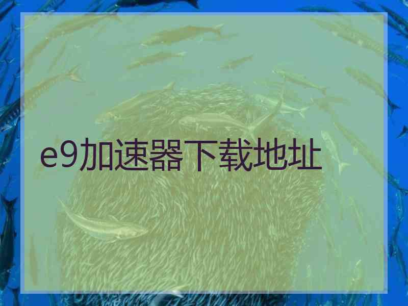 e9加速器下载地址