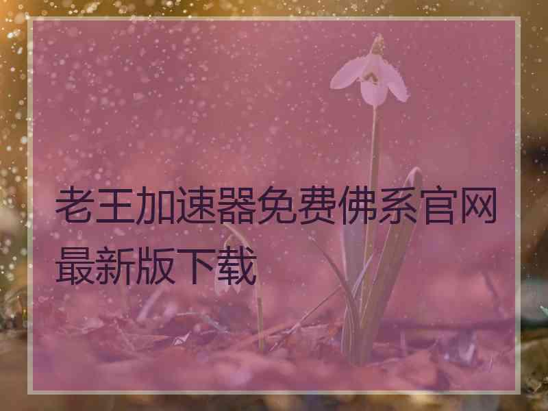 老王加速器免费佛系官网最新版下载