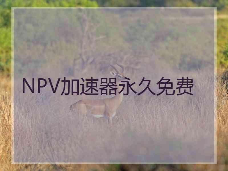 NPV加速器永久免费