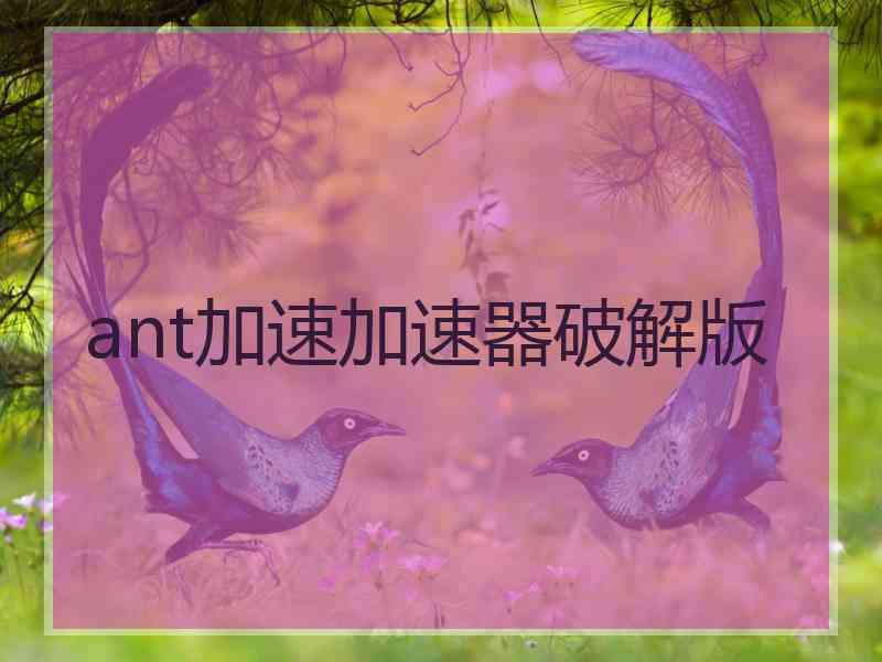 ant加速加速器破解版