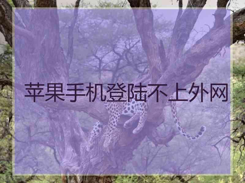 苹果手机登陆不上外网