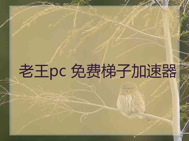 老王pc 免费梯子加速器