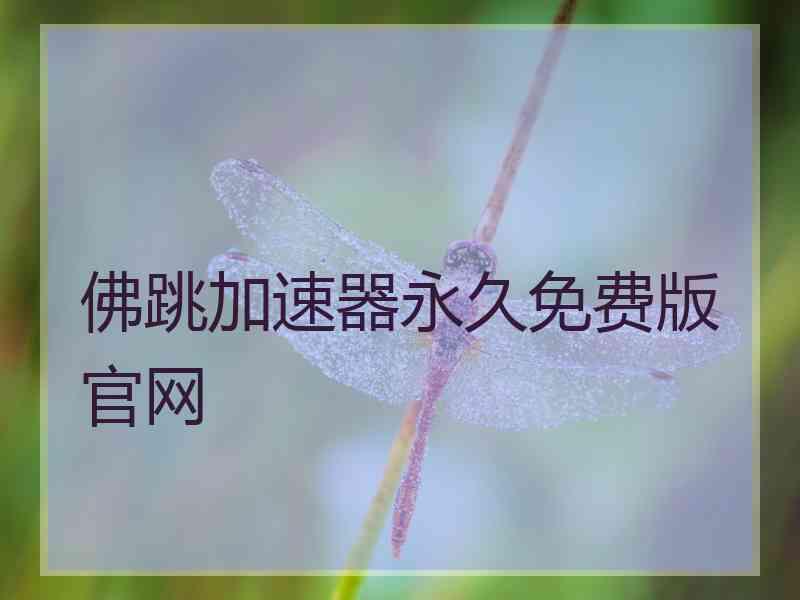 佛跳加速器永久免费版官网