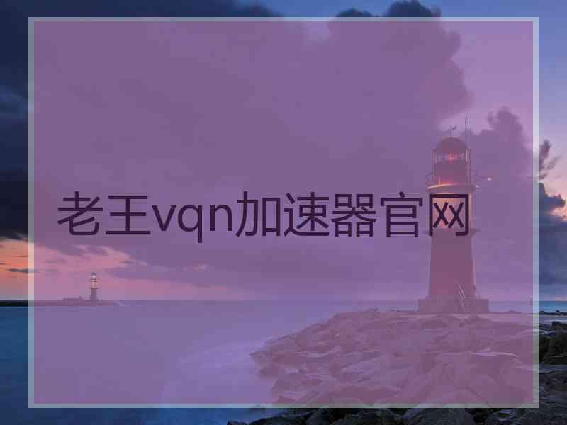 老王vqn加速器官网