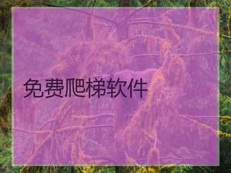 免费爬梯软件