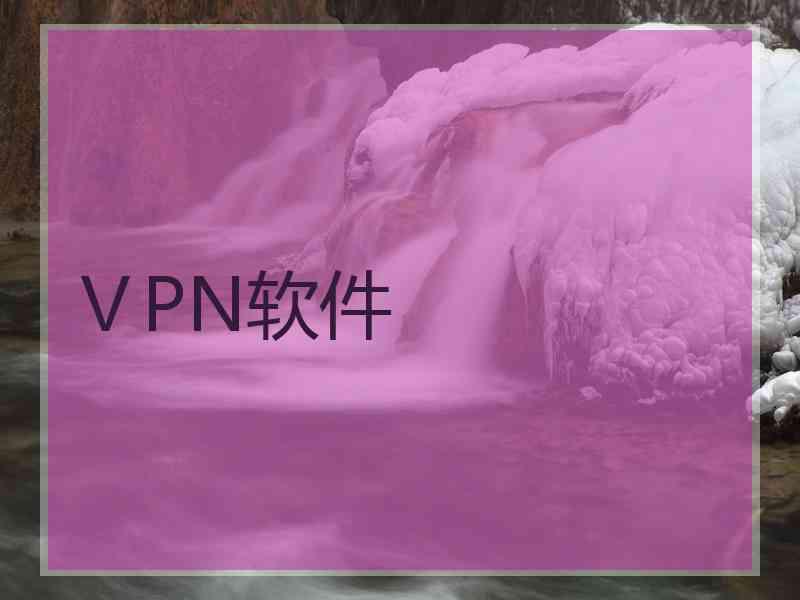 ⅤPN软件