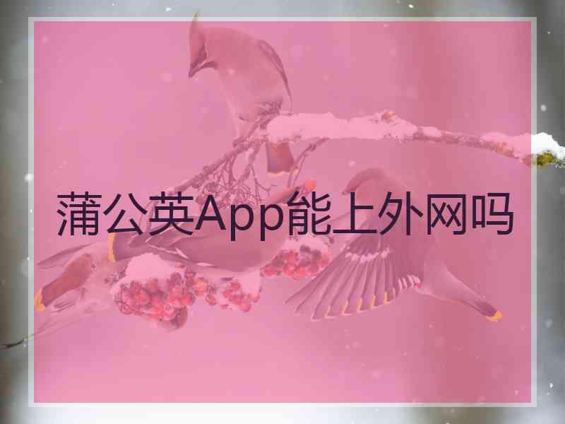 蒲公英App能上外网吗