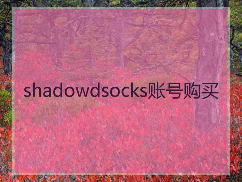 shadowdsocks账号购买