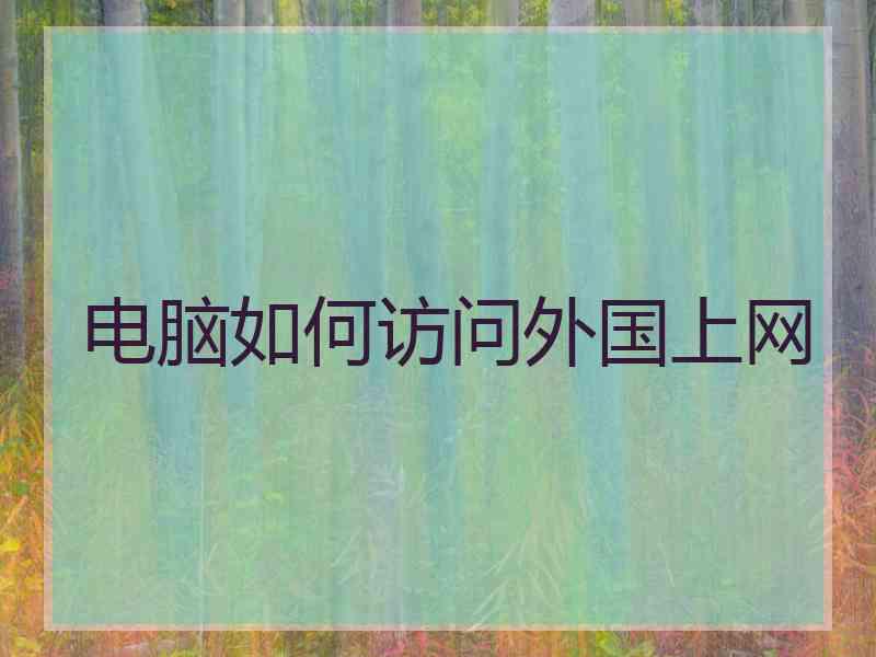 电脑如何访问外国上网