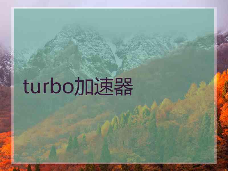 turbo加速器