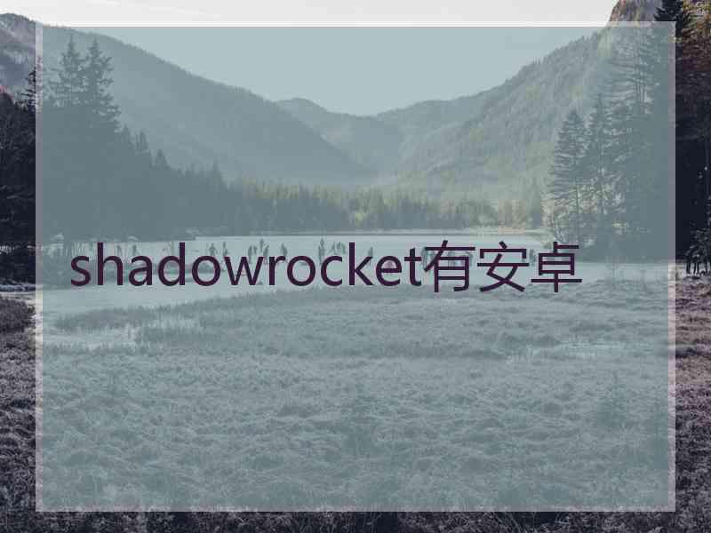 shadowrocket有安卓