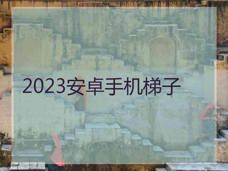 2023安卓手机梯子