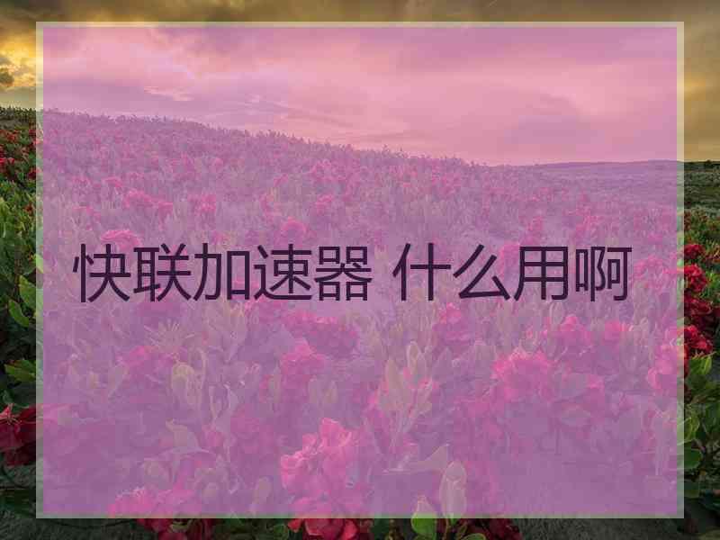 快联加速器 什么用啊