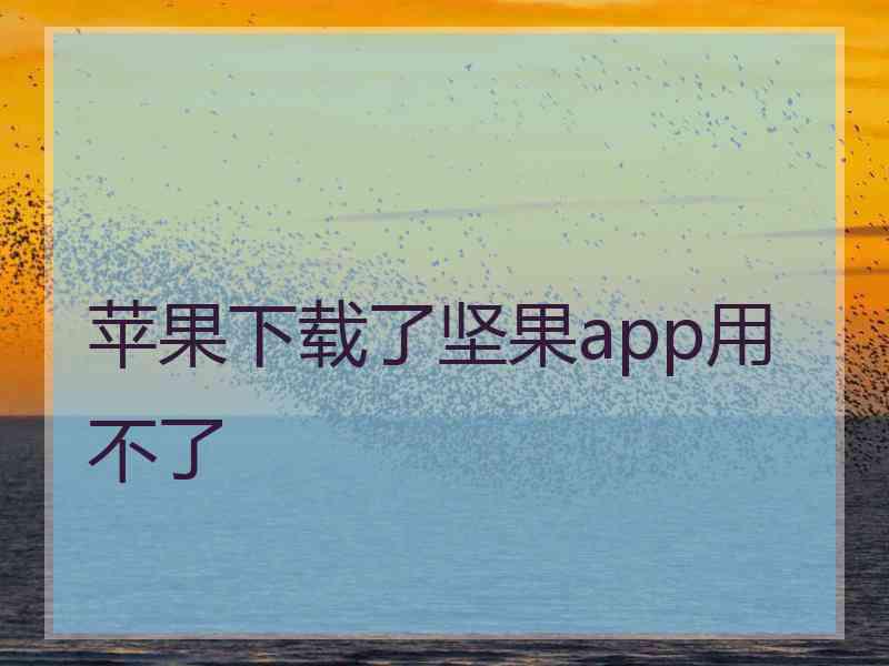 苹果下载了坚果app用不了