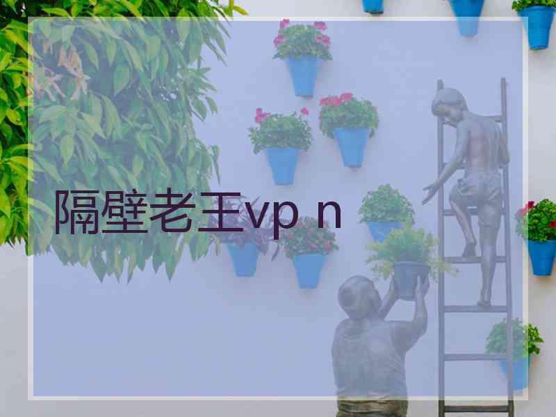 隔壁老王vp n